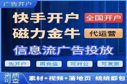 深度解析：百度推广代理的运营策略与效果